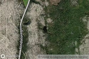 Gronholtjorni
