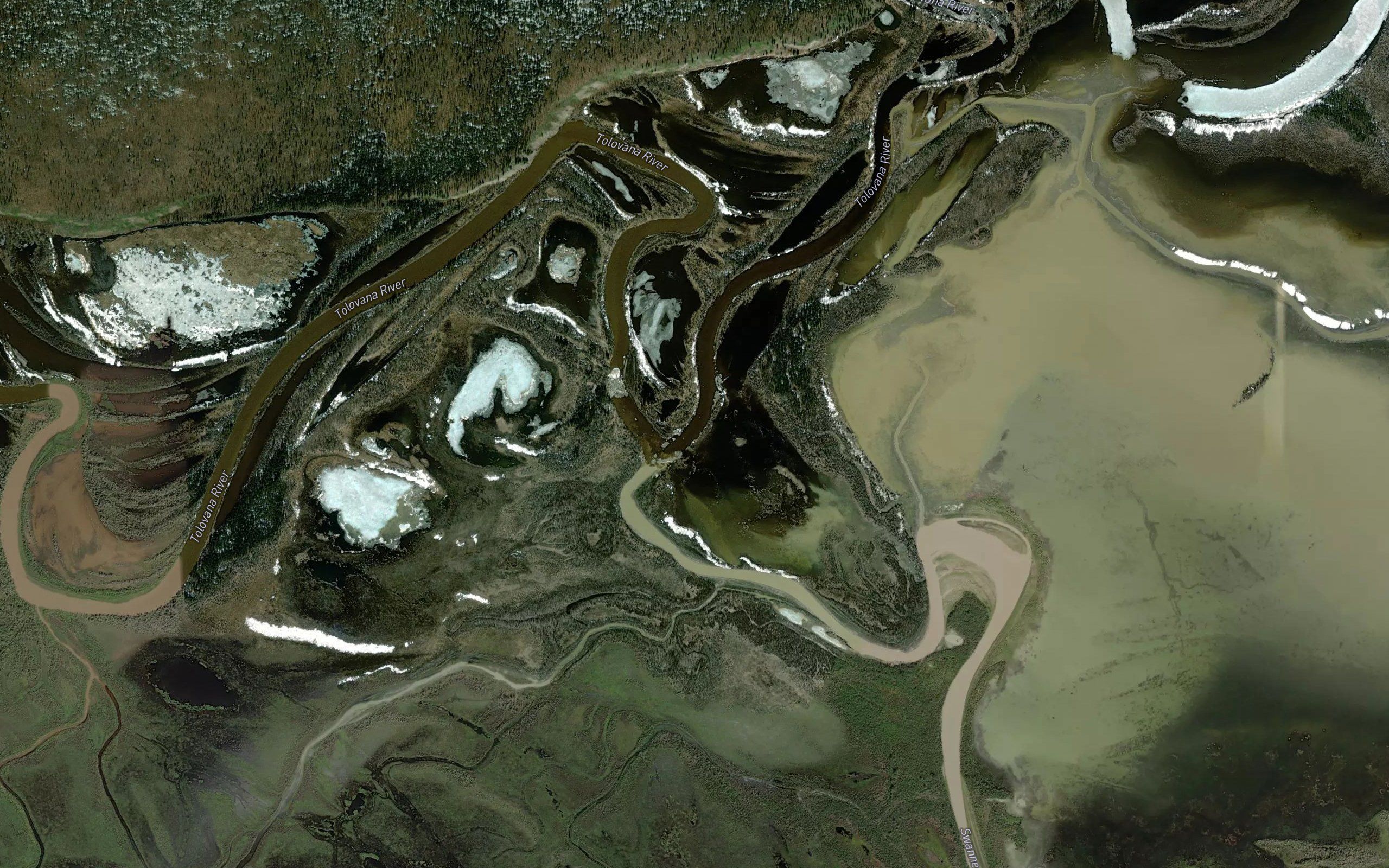 Swanneck Slough