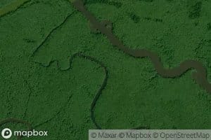 Little Buzzard Creek