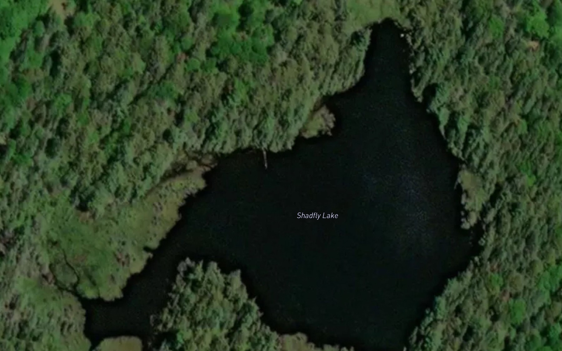 Satellite map of the Shadfly Lake