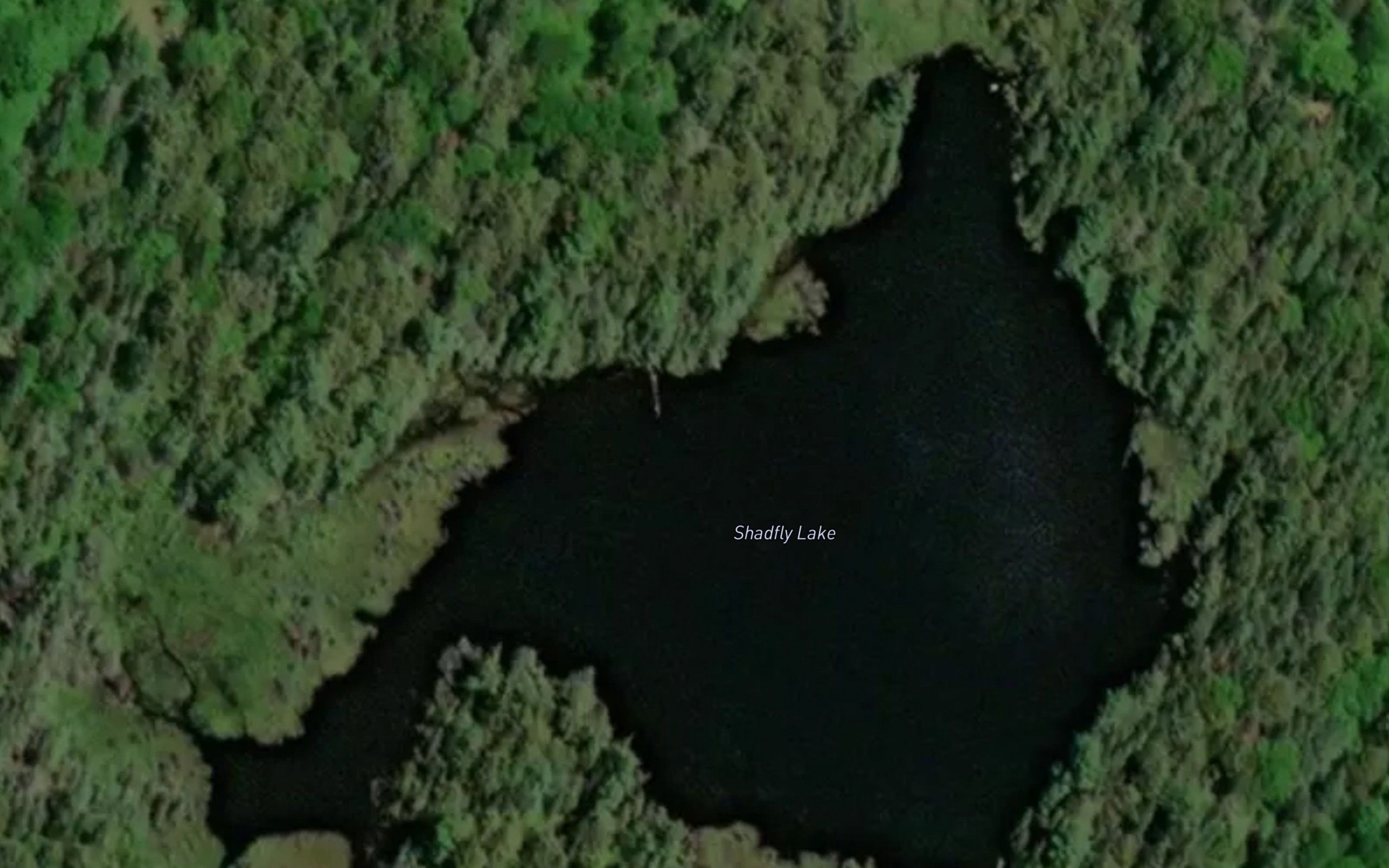 Shadfly Lake