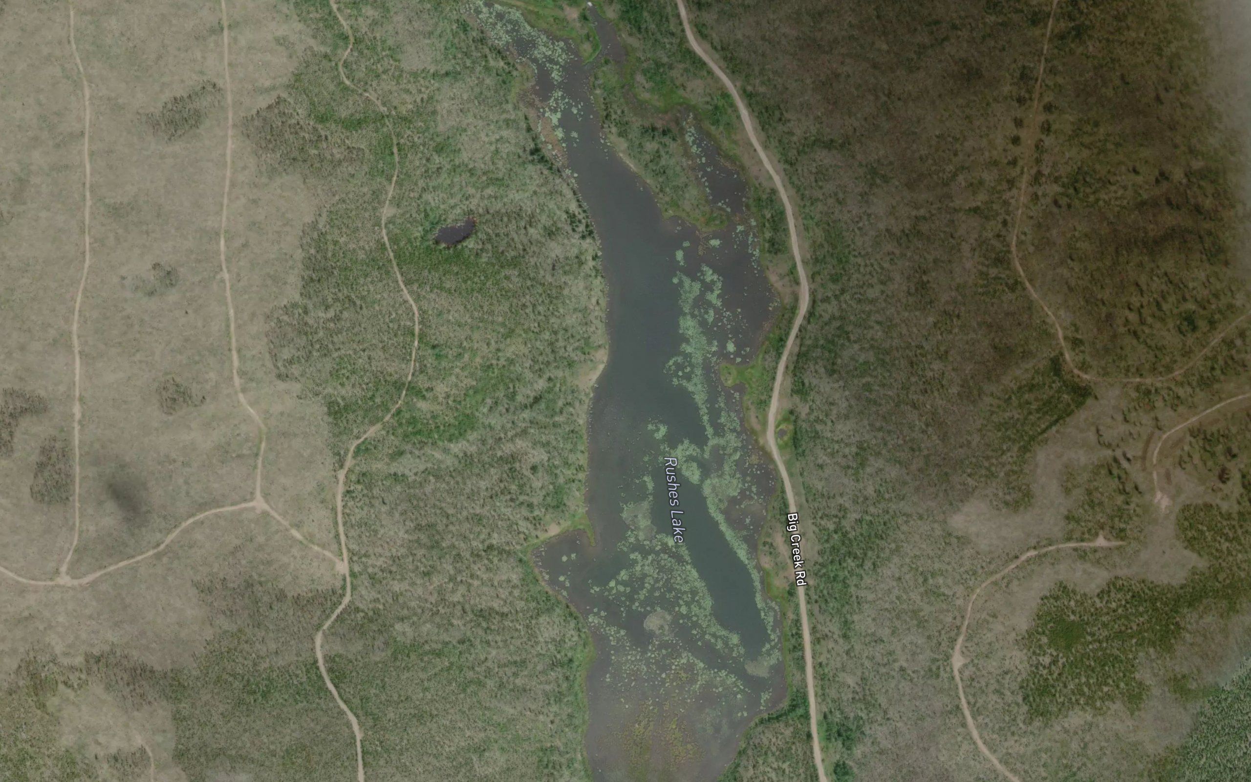 Rushes Lake