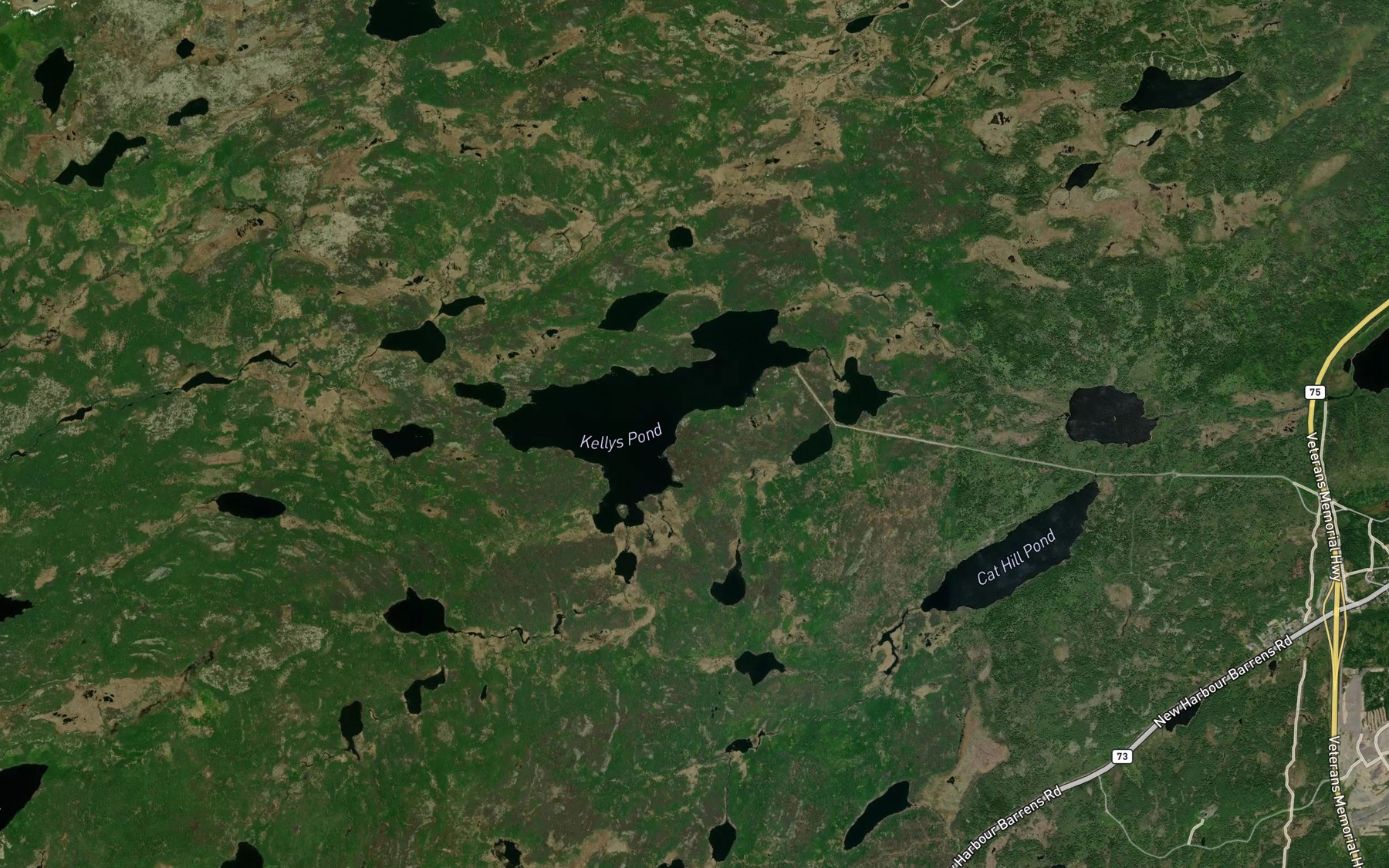 Satellite map of the Kellys Pond