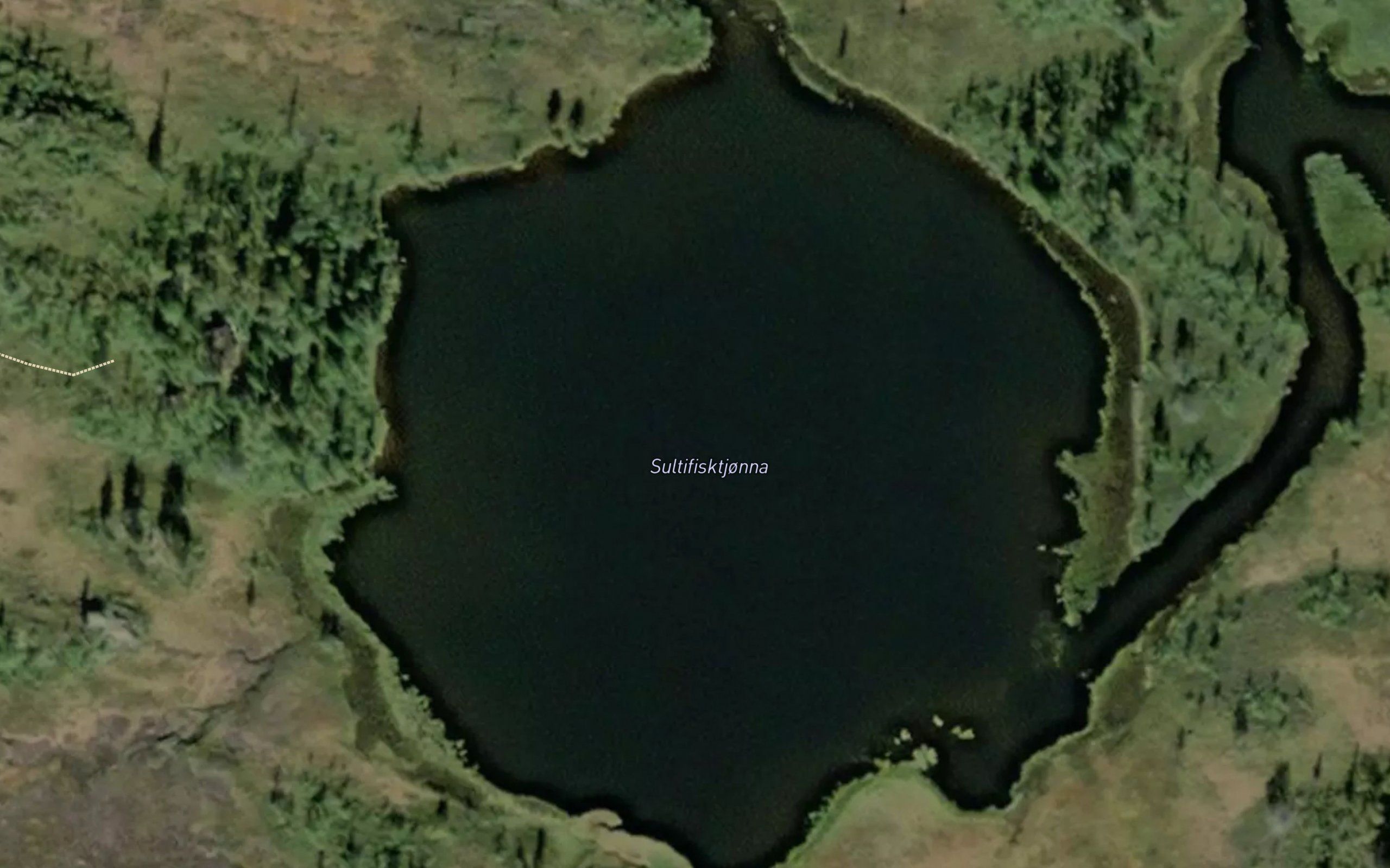 Sultifisktjonna