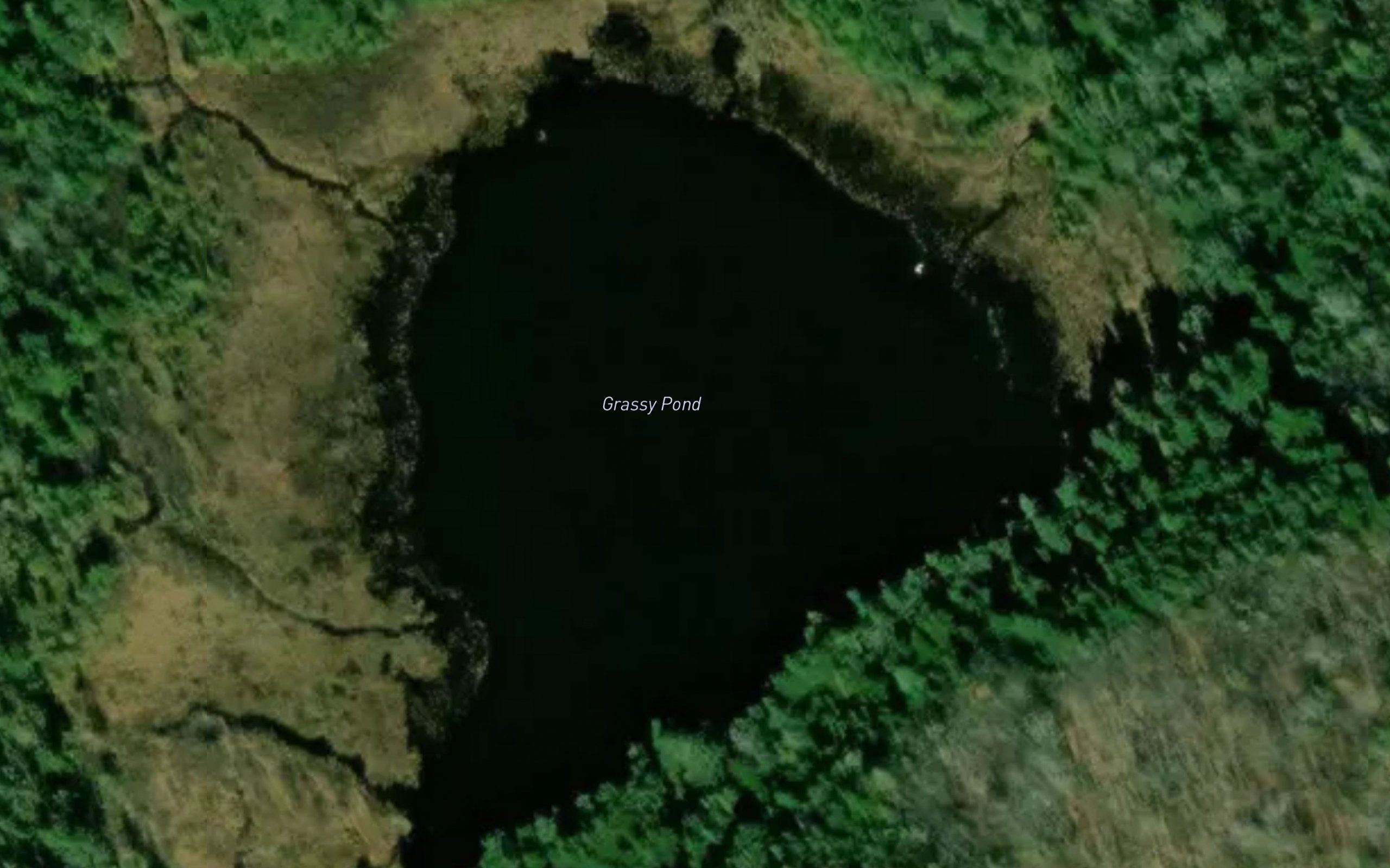 Grassy Pond