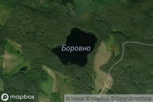 Ozero Borovno