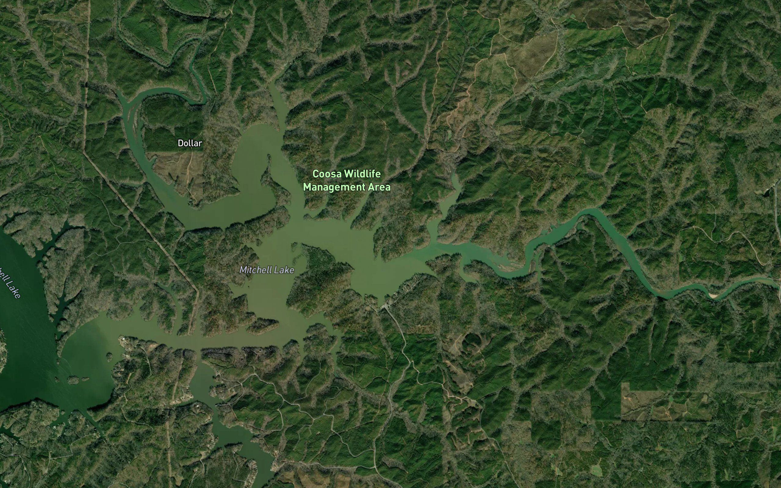 Hatchet Creek