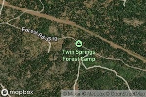 Twin Spring