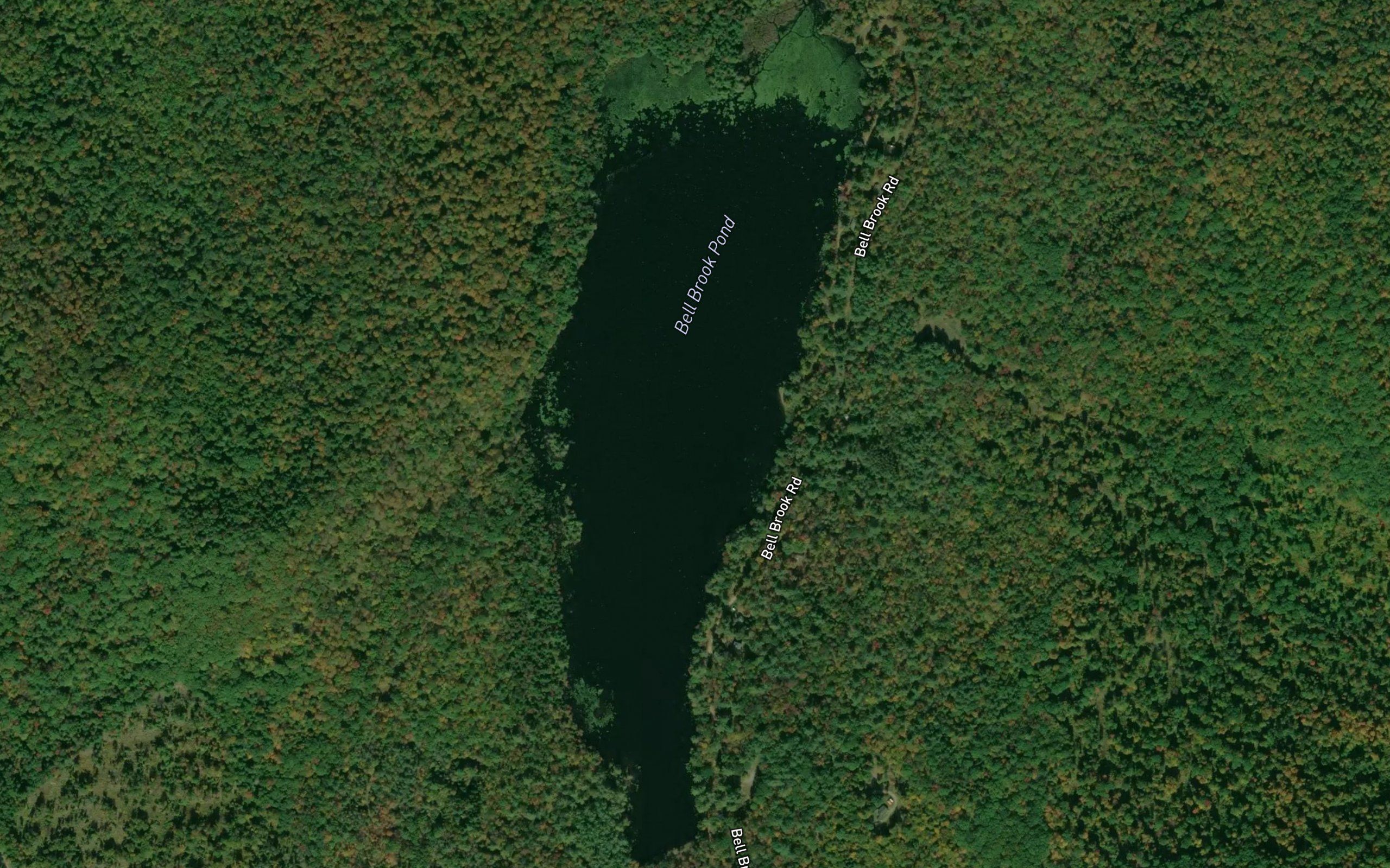 Bell Brook Pond