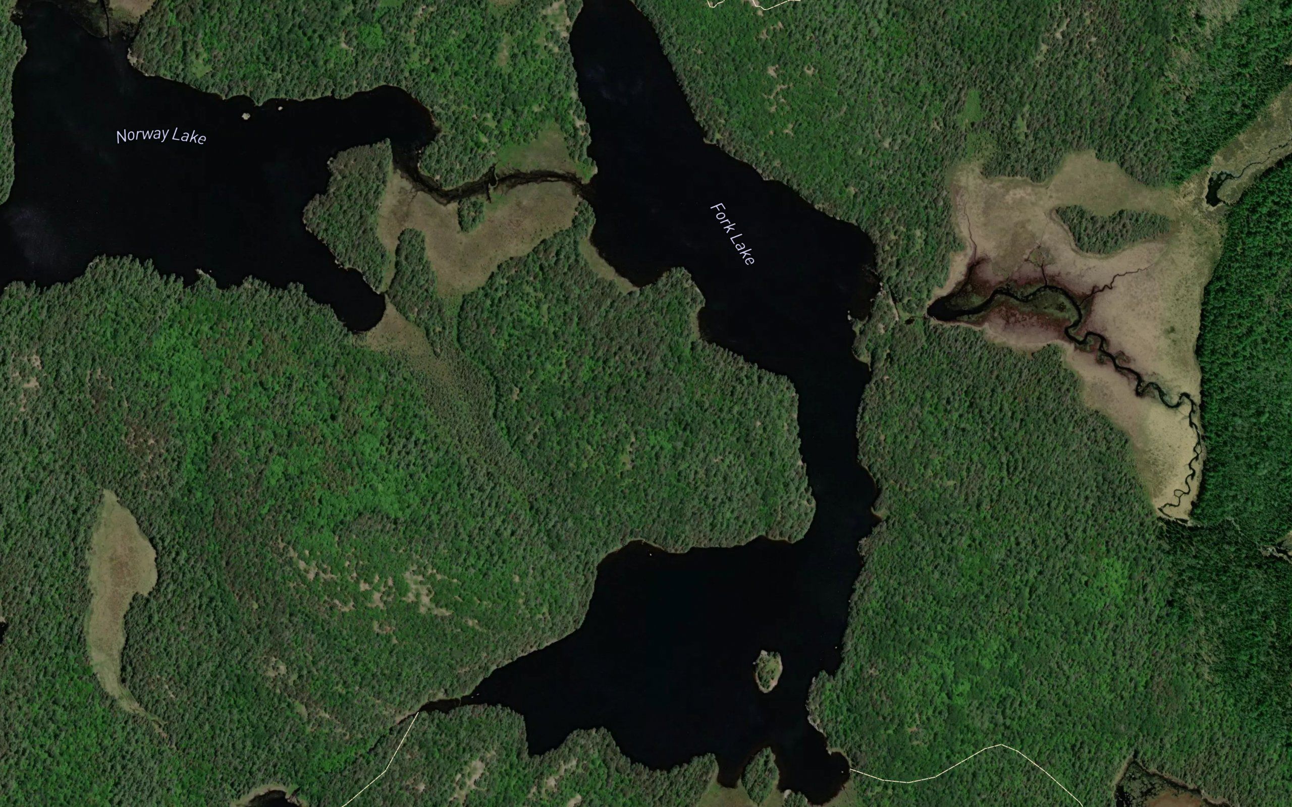 Fork Lake