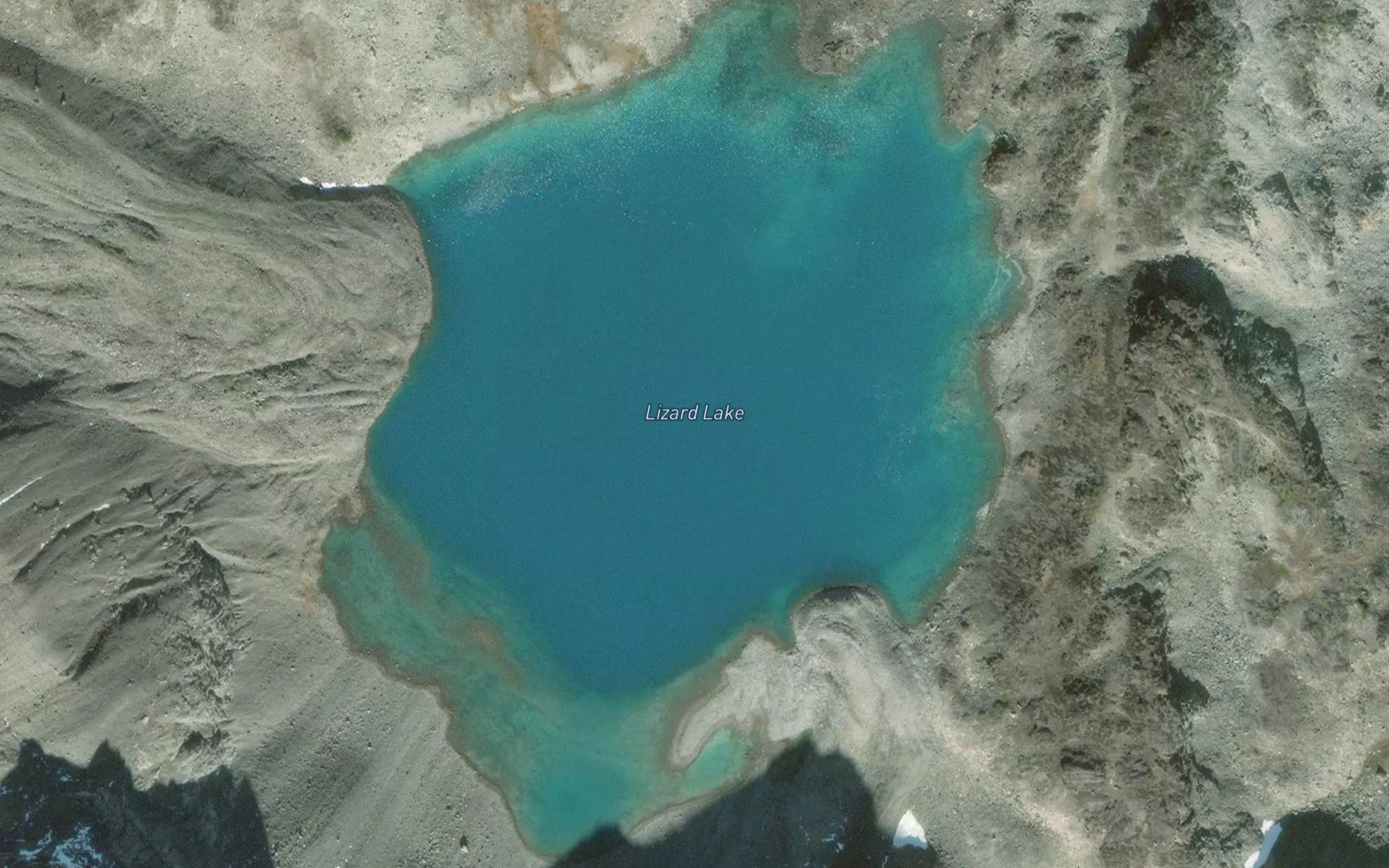 Lizard Lake