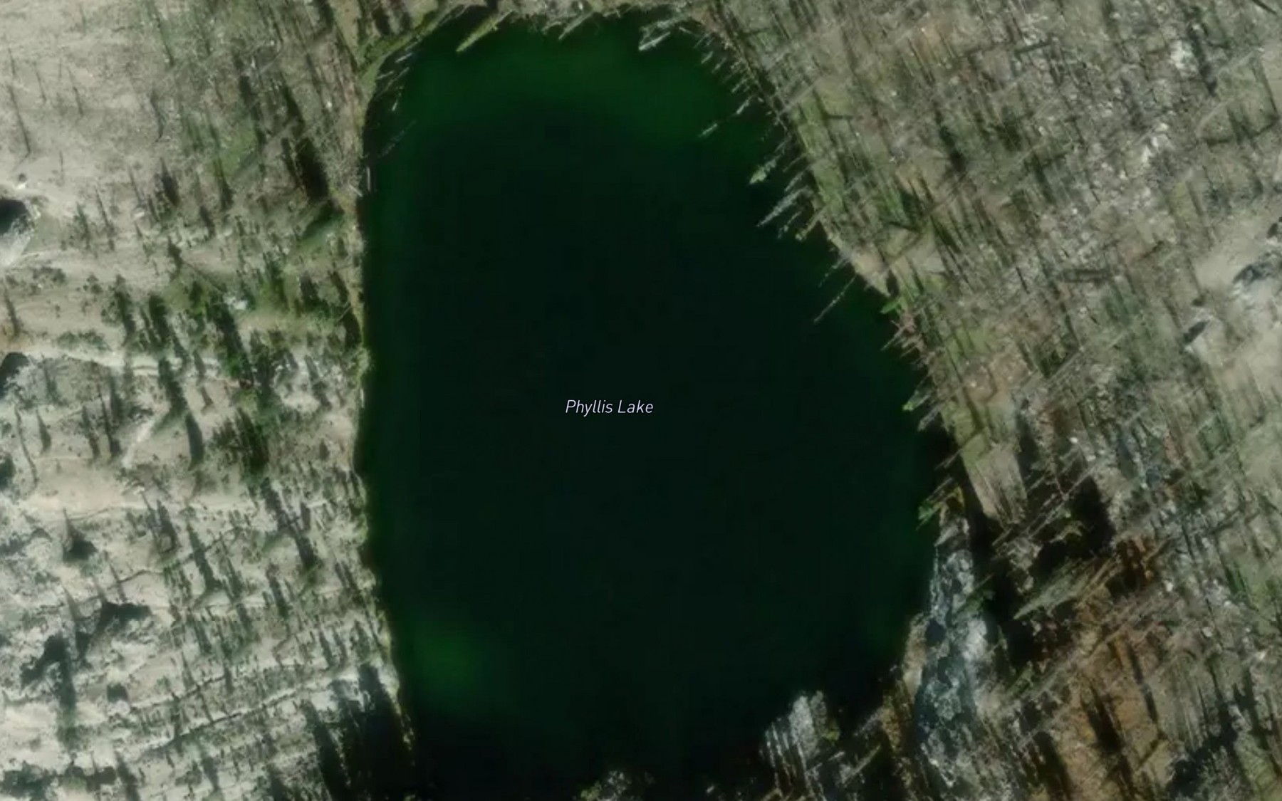 Satellite map of the Phyllis Lake