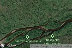 Stuorravuohppi