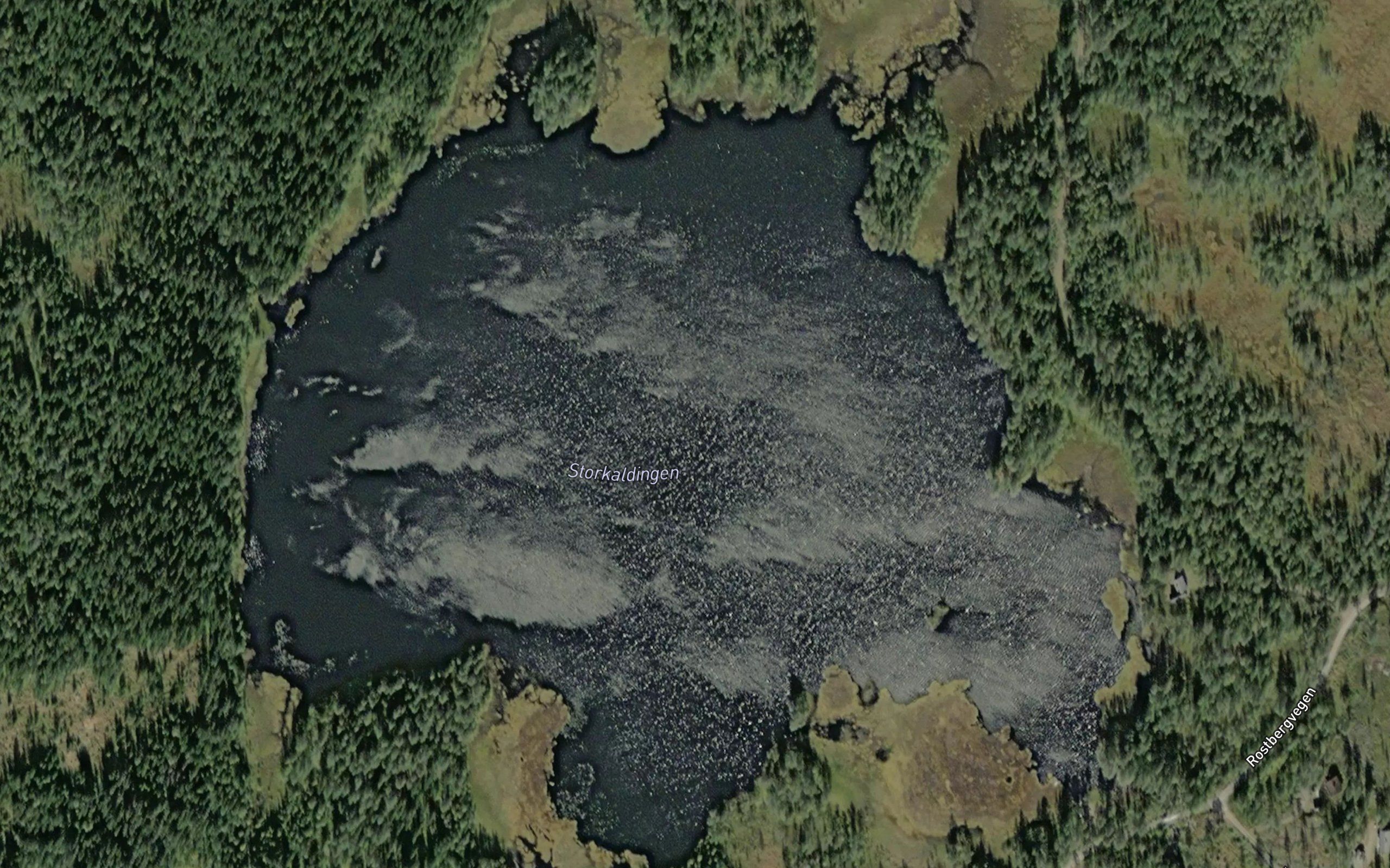 Storkaldingen