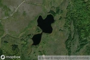 Lac Stanforth