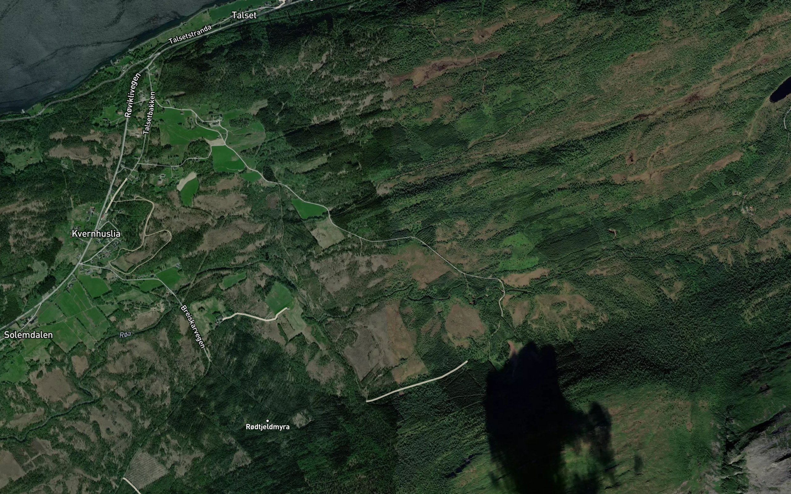 Oksegrova