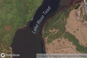 Lake Rose Teed