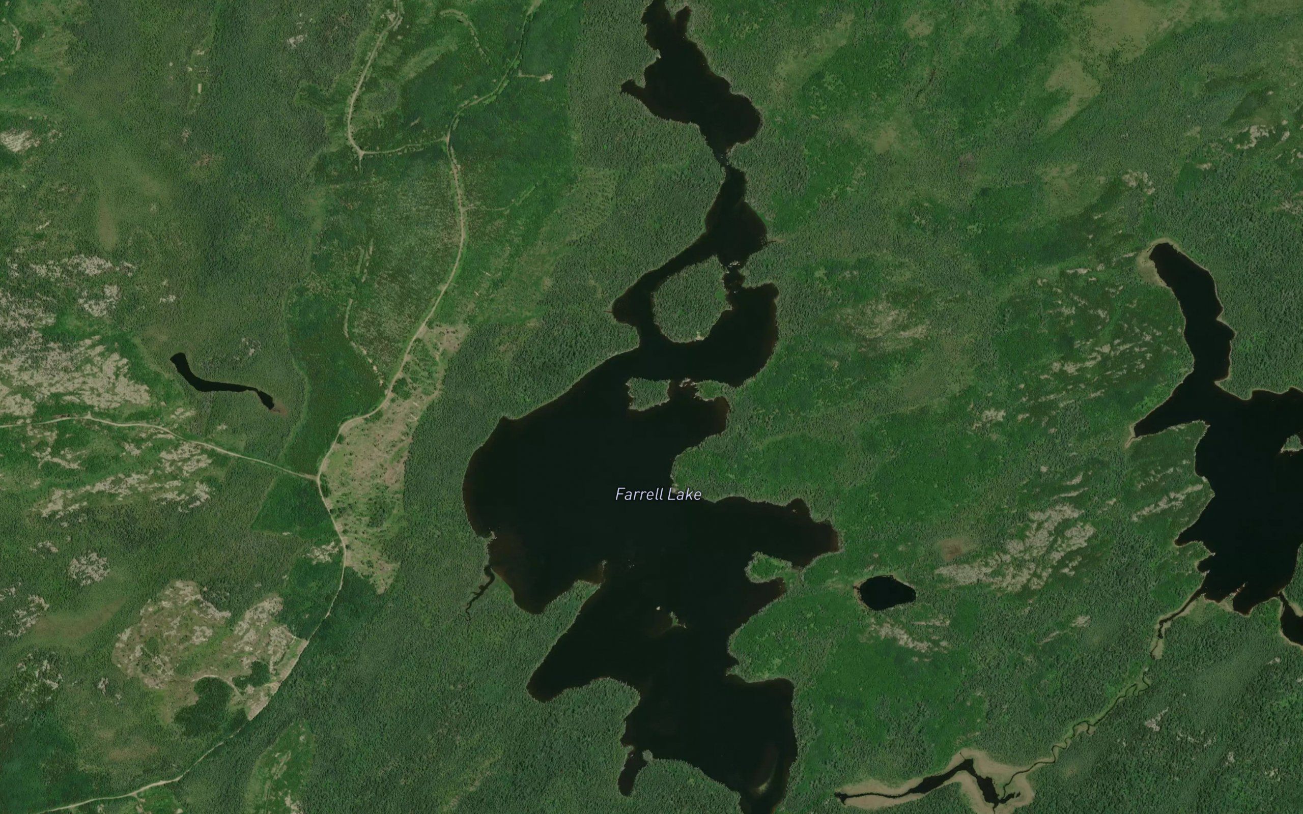 Farrell Lake