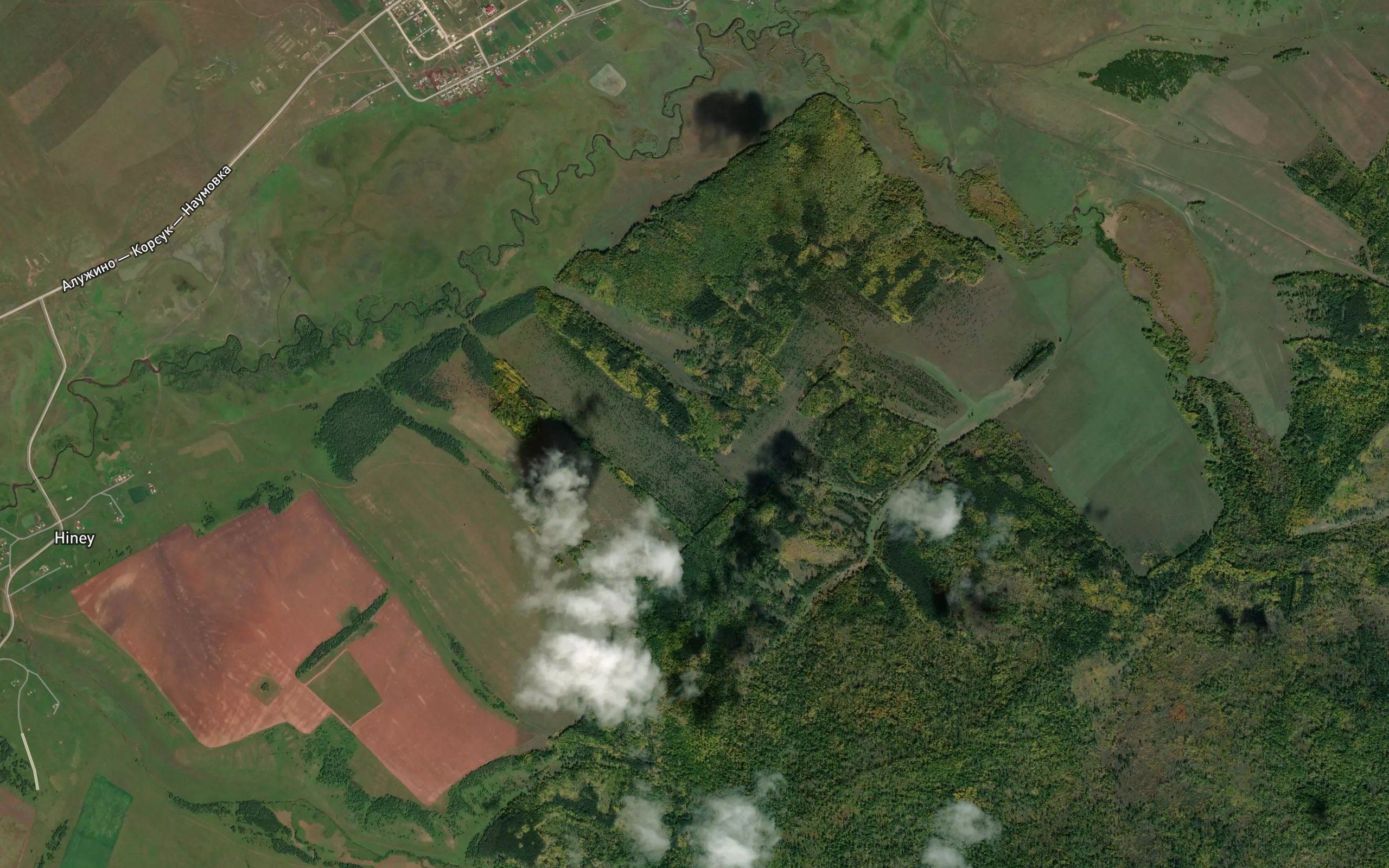 Pad' Ptichnik
