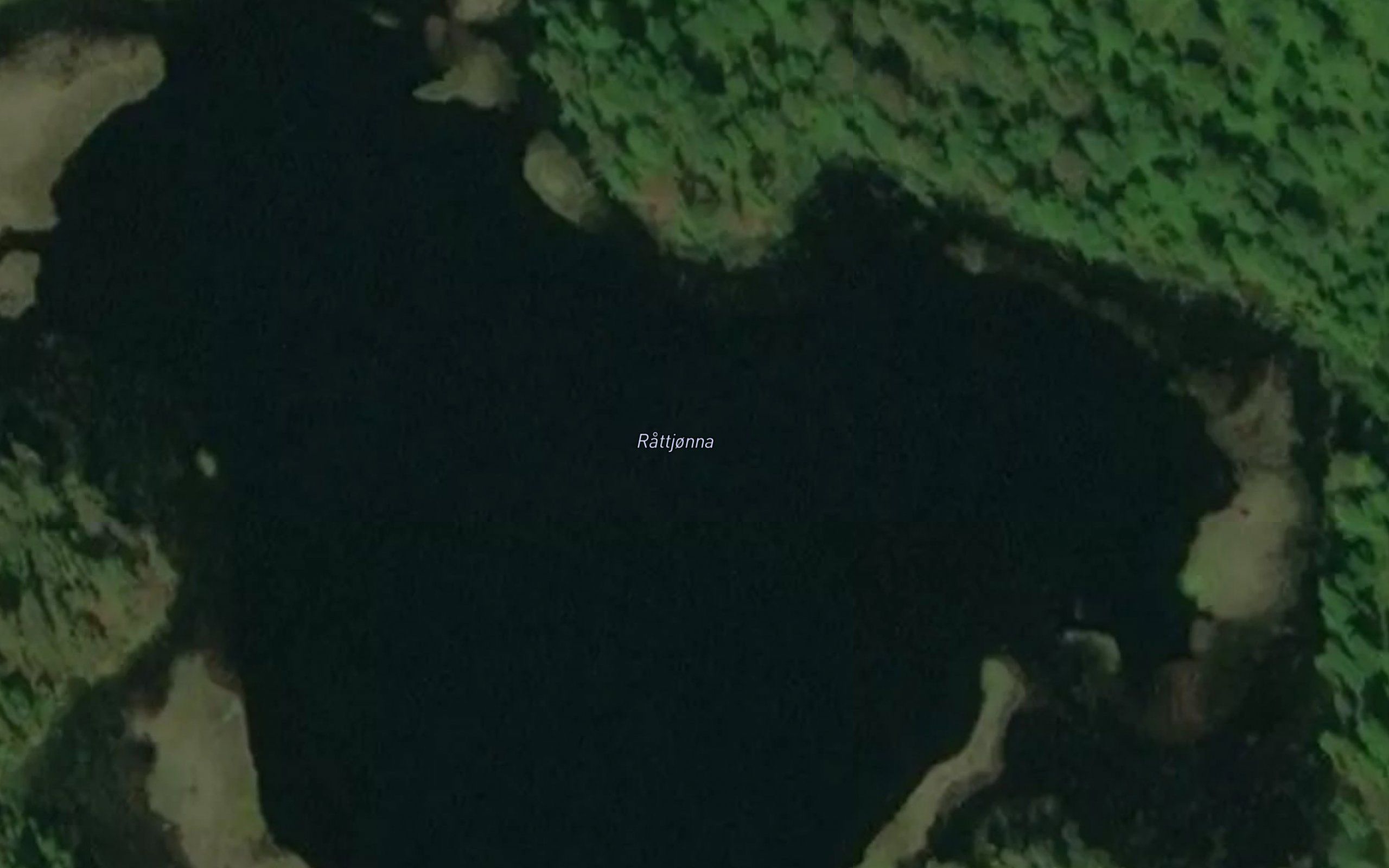 Rattjonna