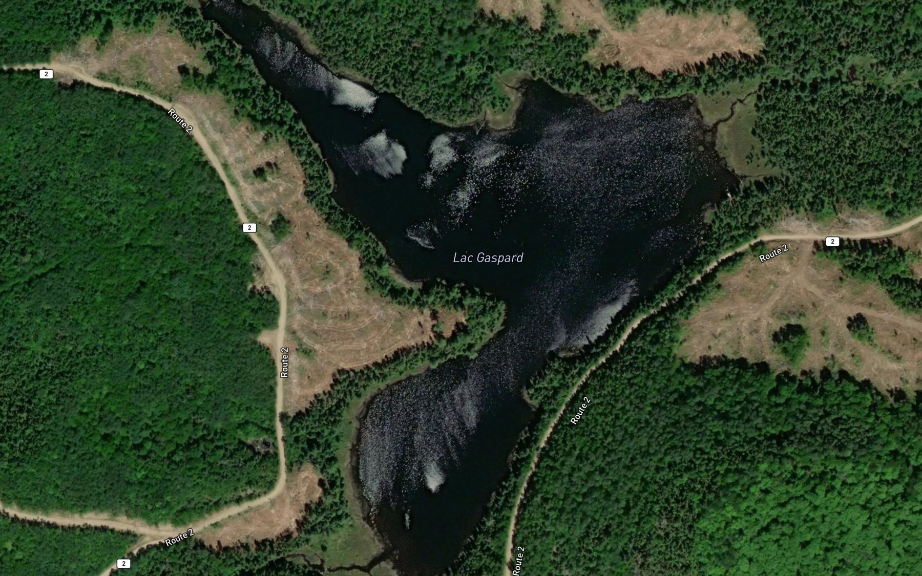 Satellite map of the Lac Gaspard