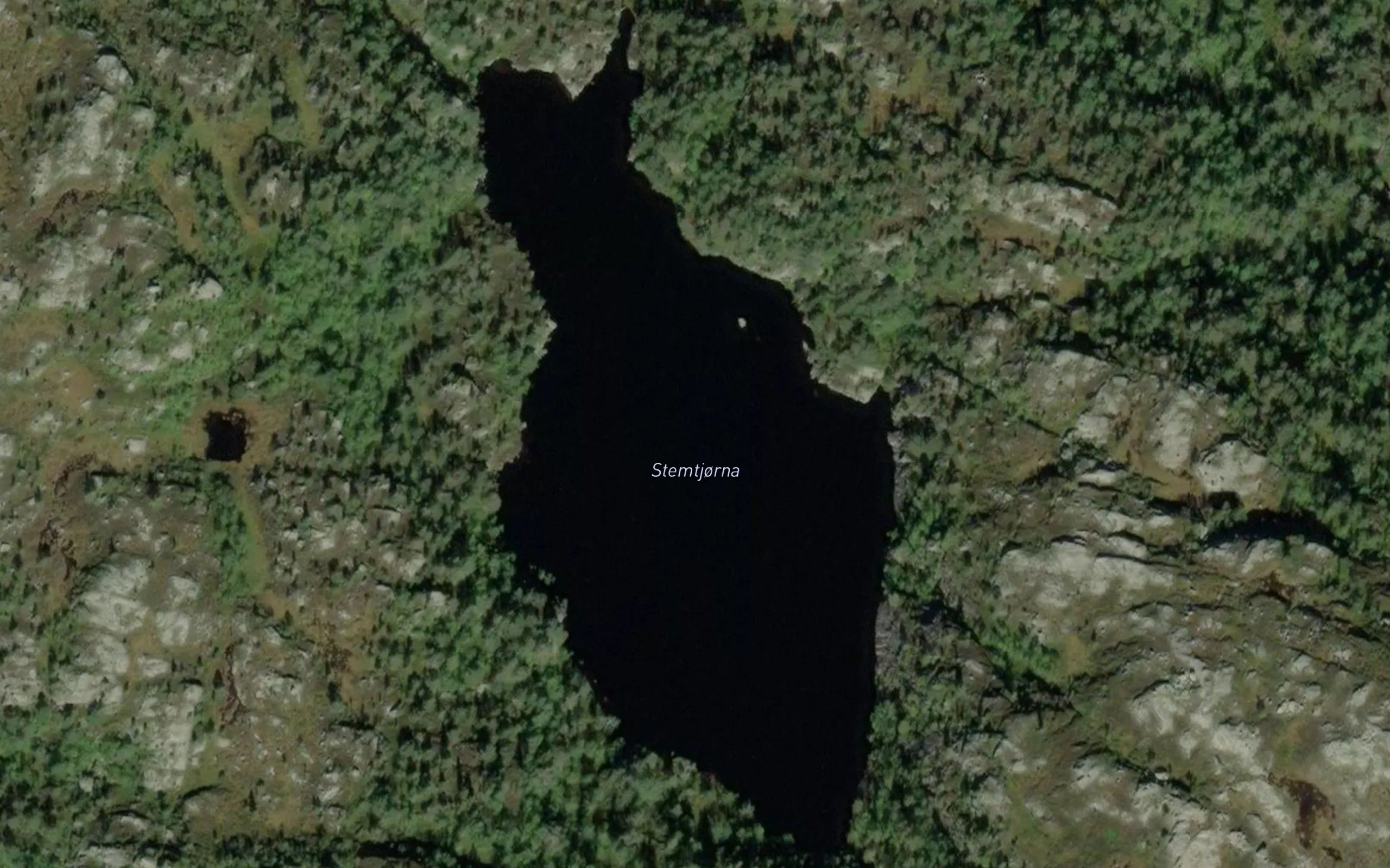 Stemtjorna