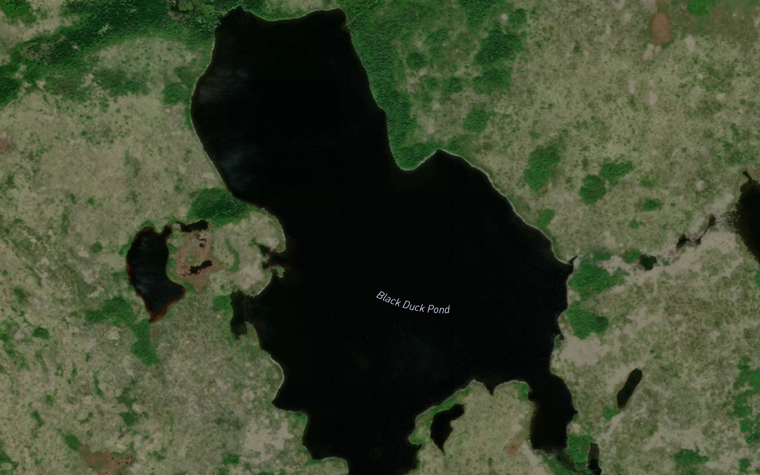 Black Duck Pond
