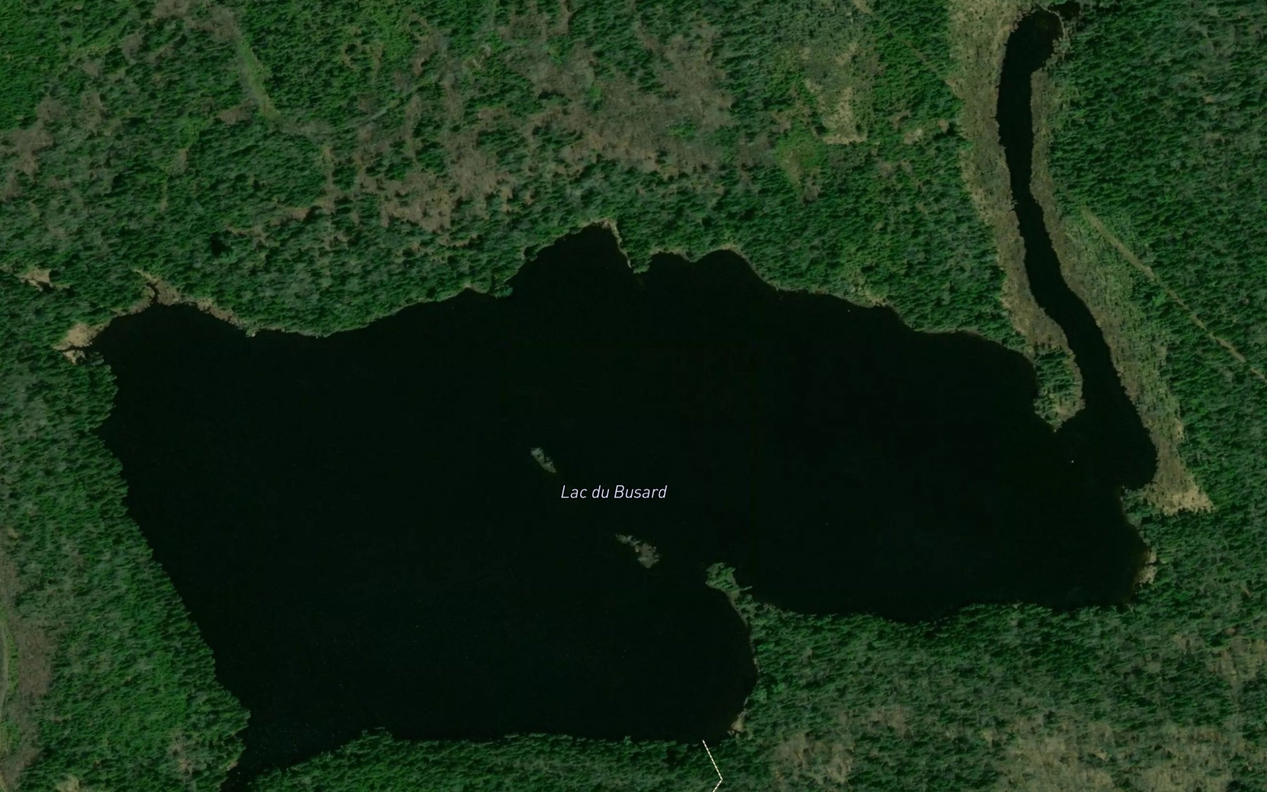 Satellite map of the Lac du Busard