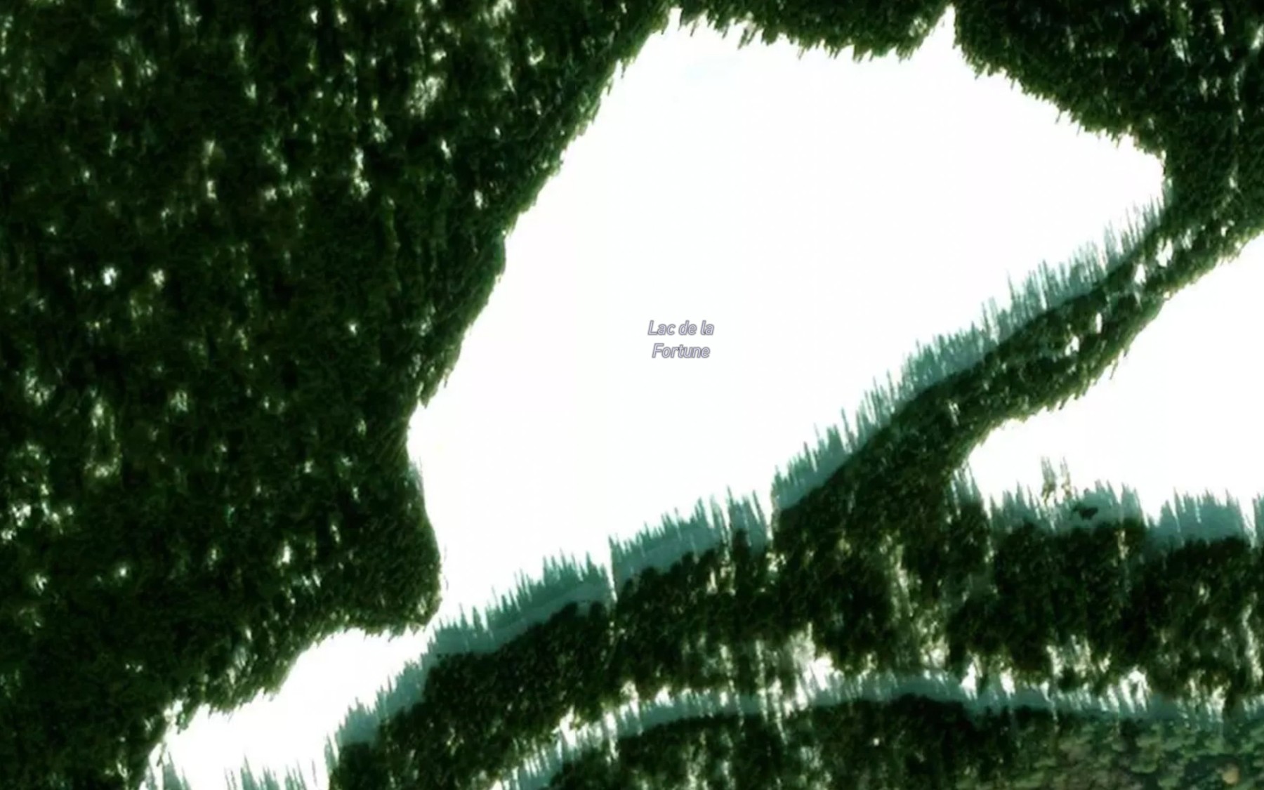 Satellite map of the Lac de la Fortune