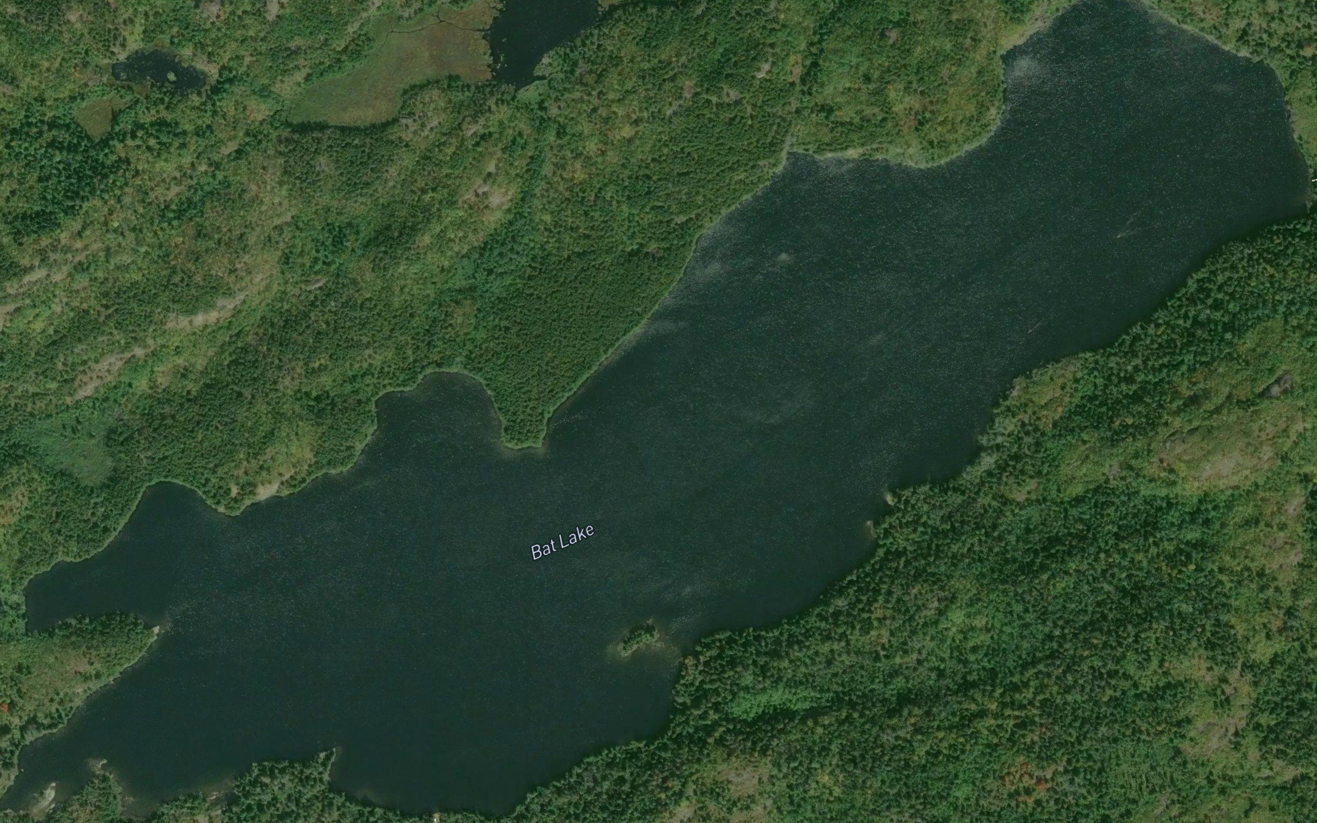 Bat Lake