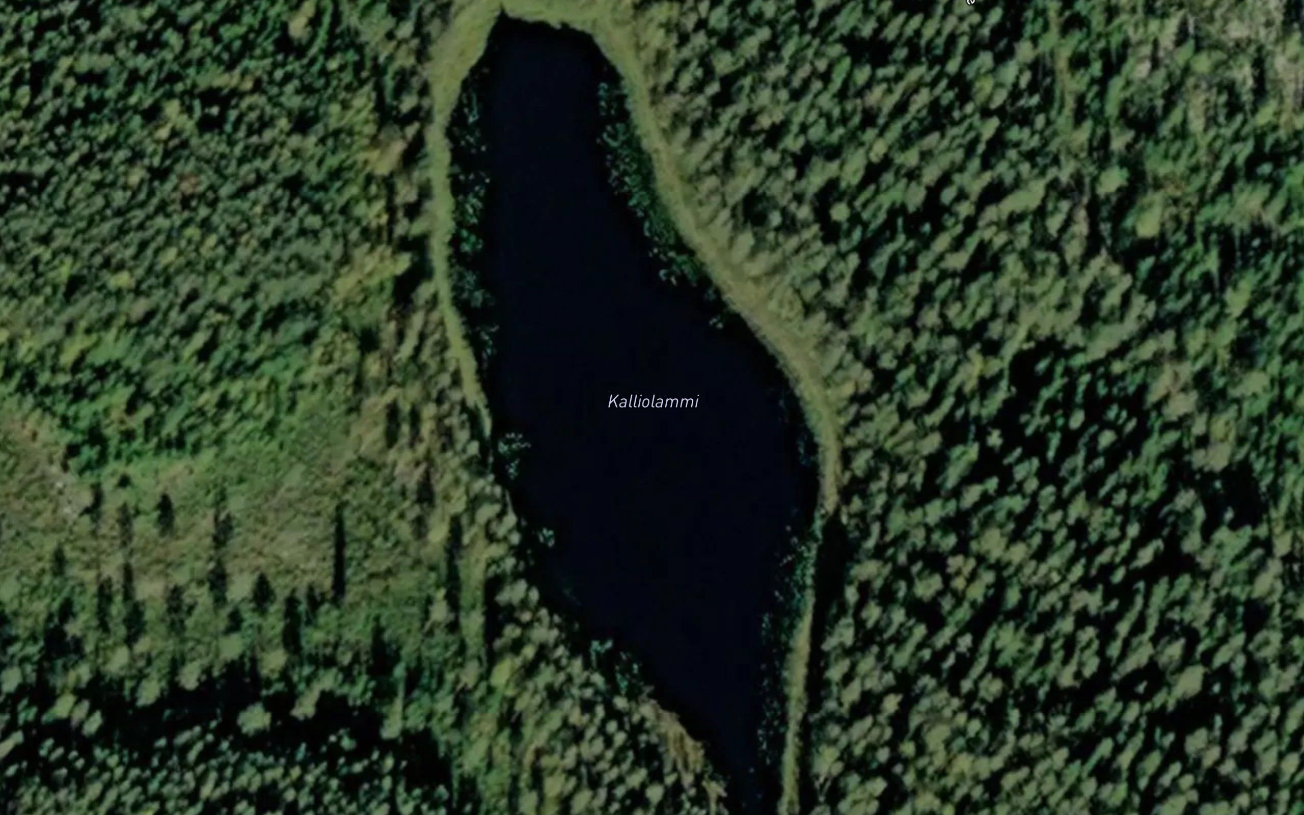 Kalliolammi