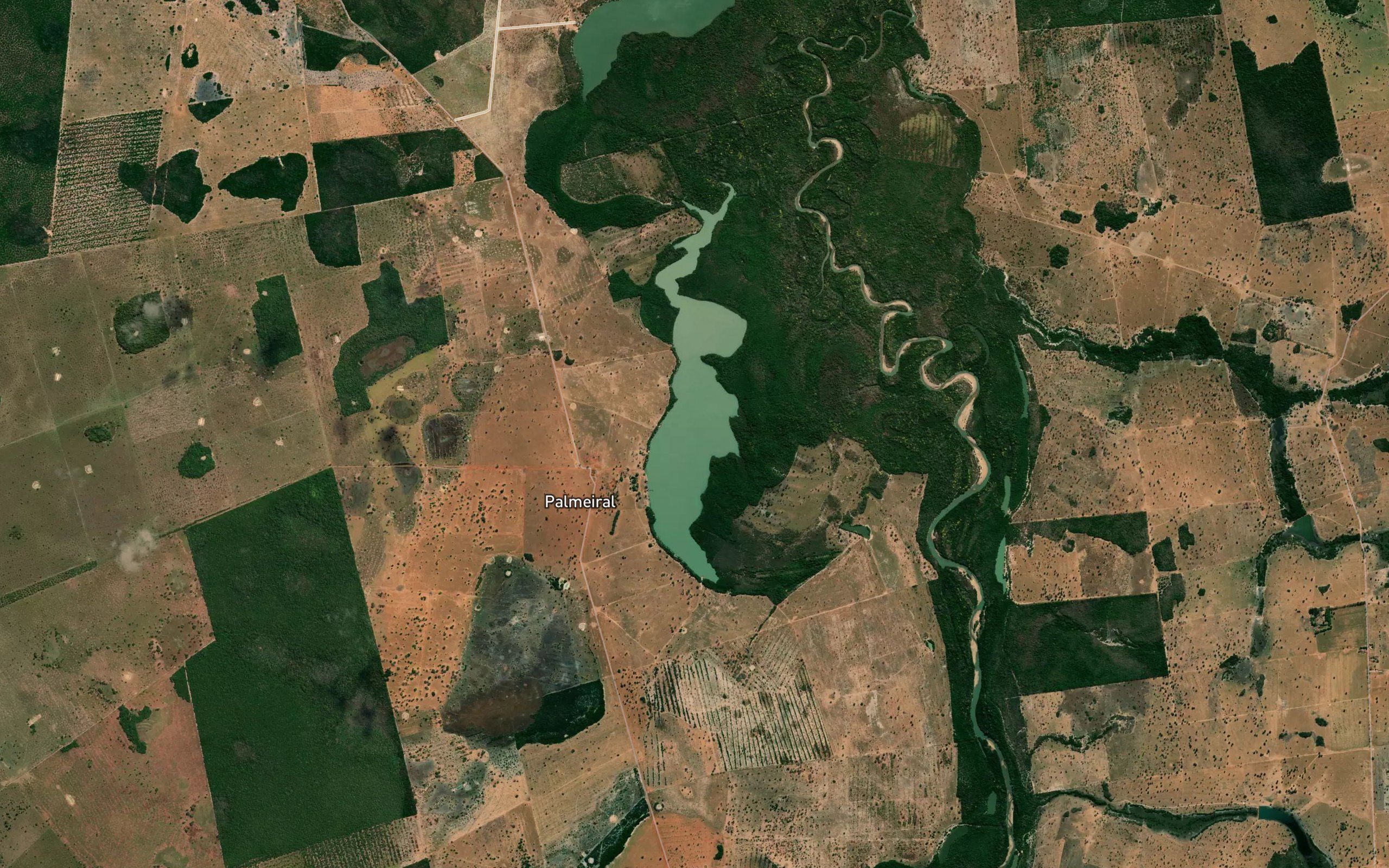 Lago Palmeiral