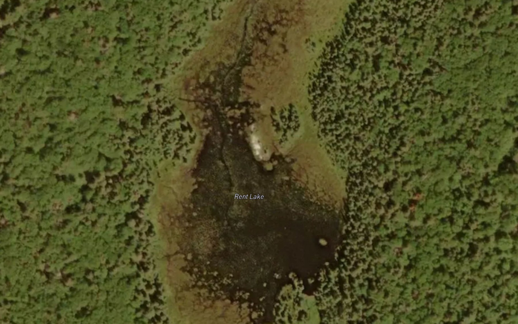 Satellite map of the Rent Lake