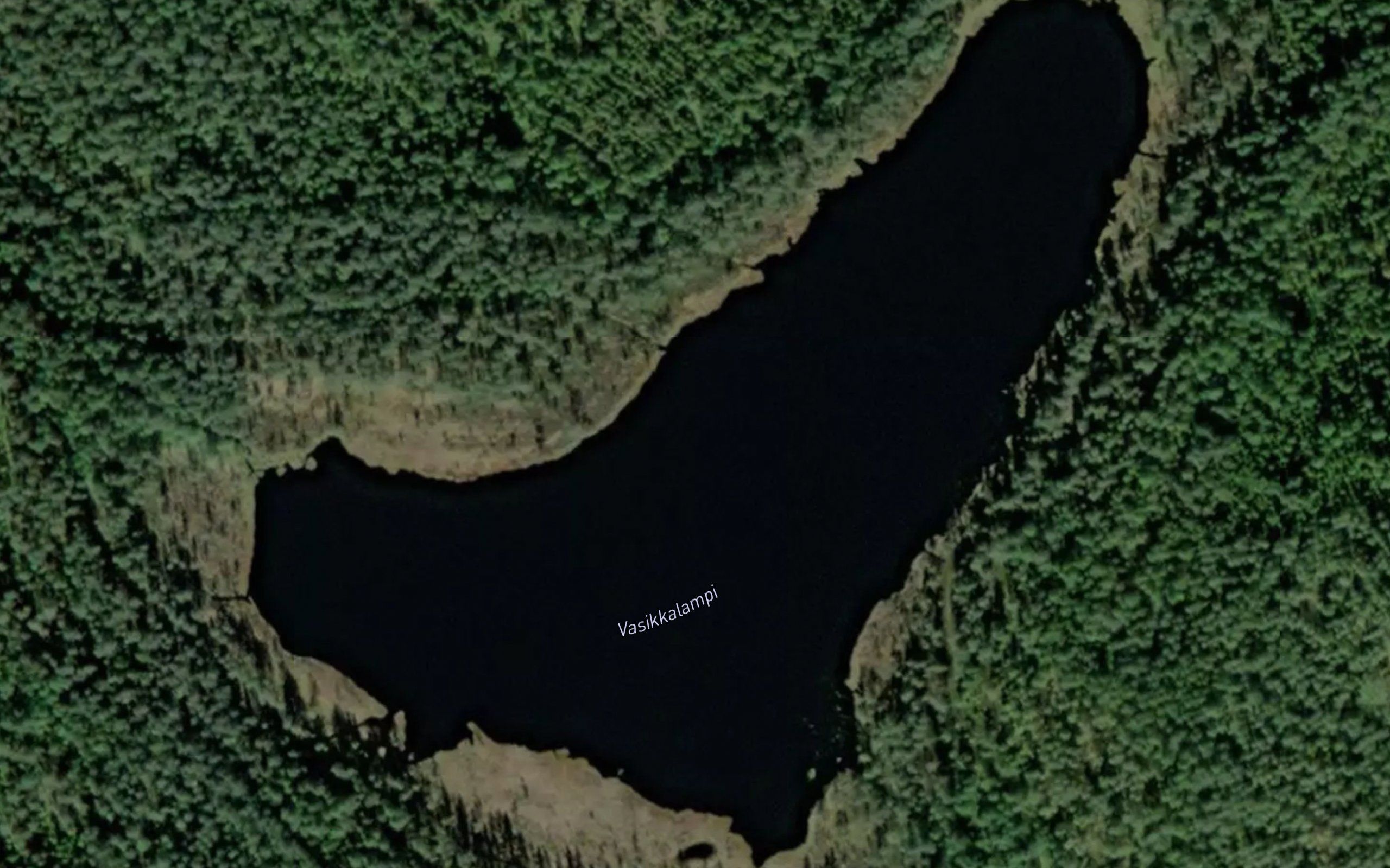 Vasikkalampi