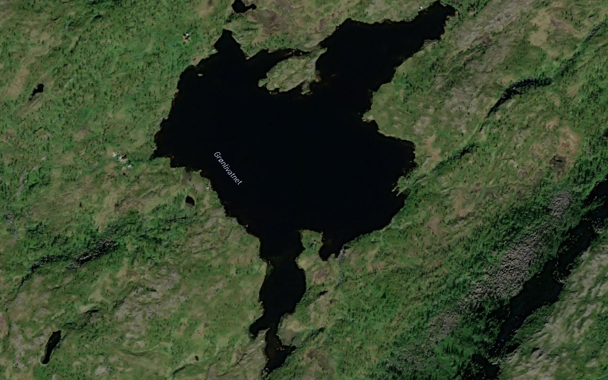 Gronlivatnet