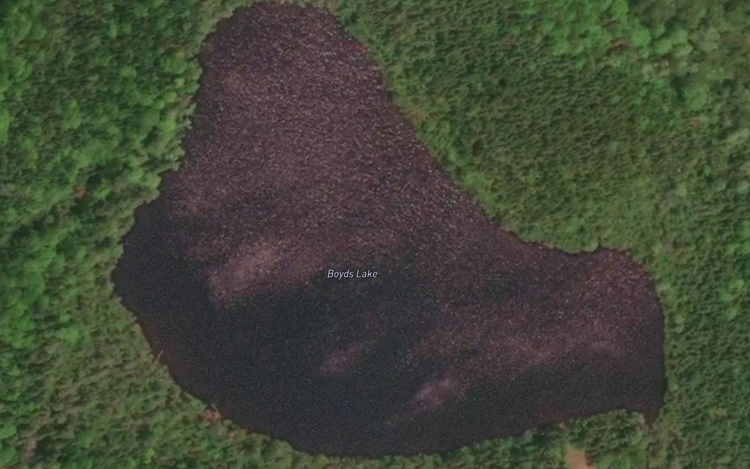 Boyds Lake