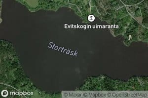 Stortraesk