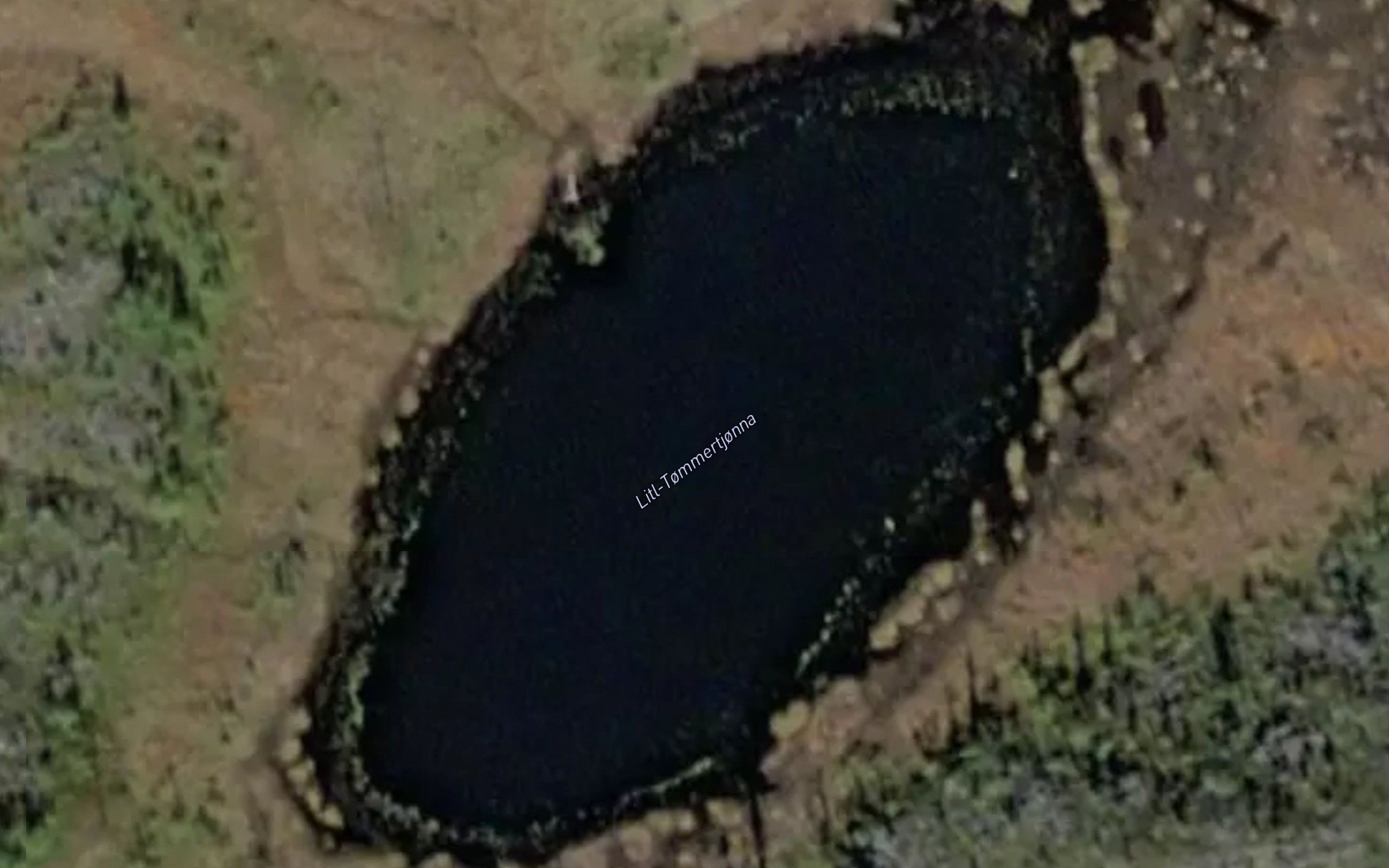 Tommertjornane