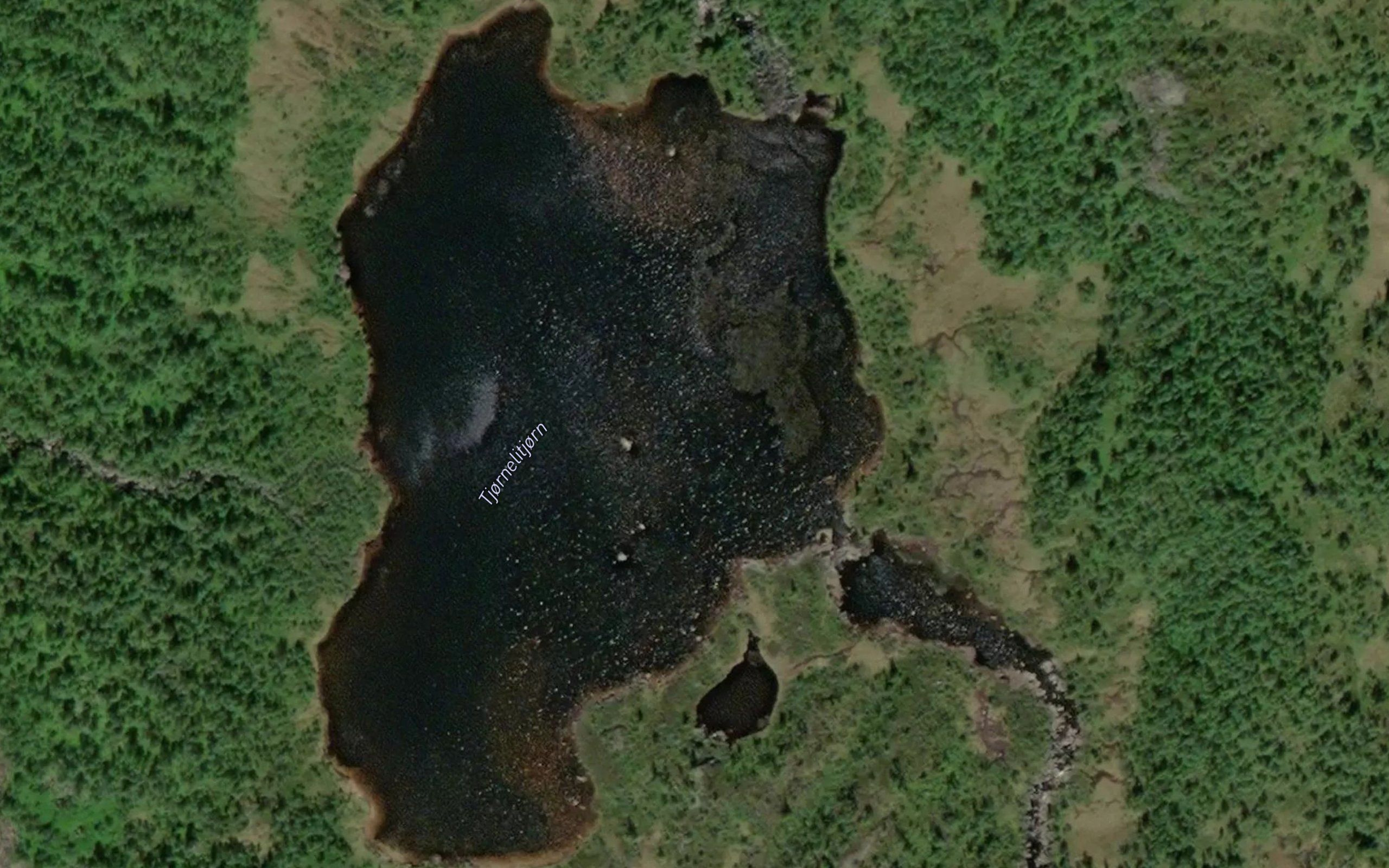 Tjornelitjorn