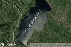 Skjerbekktjornet