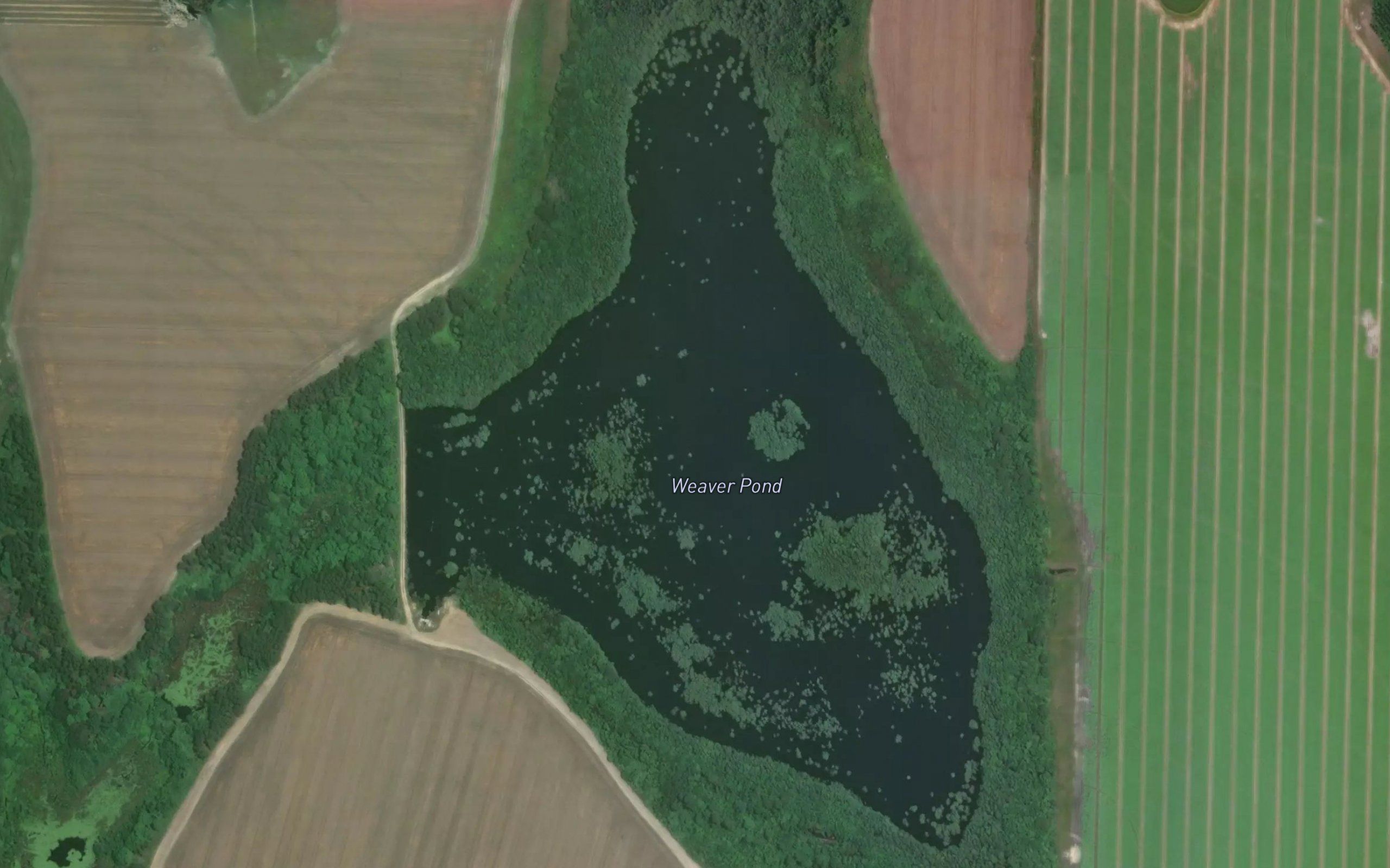 Weaver Pond