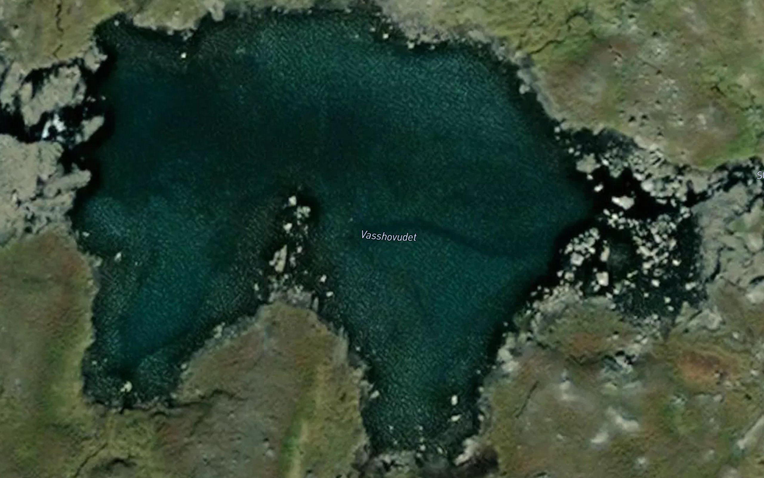 Vasshovudet