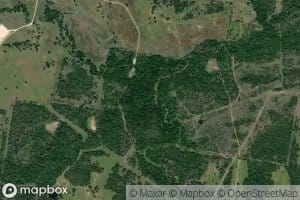 North Bedias Creek