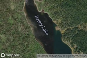 Paddy Lake