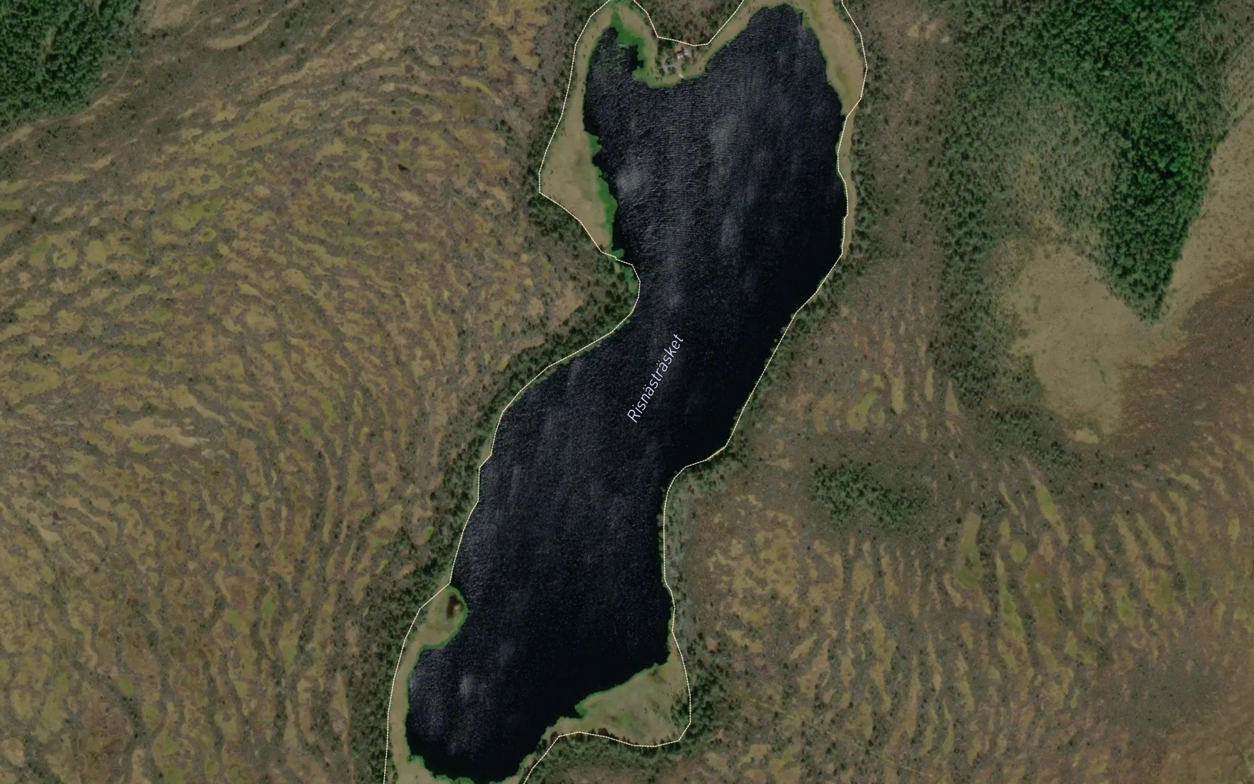 Risnaestraesket