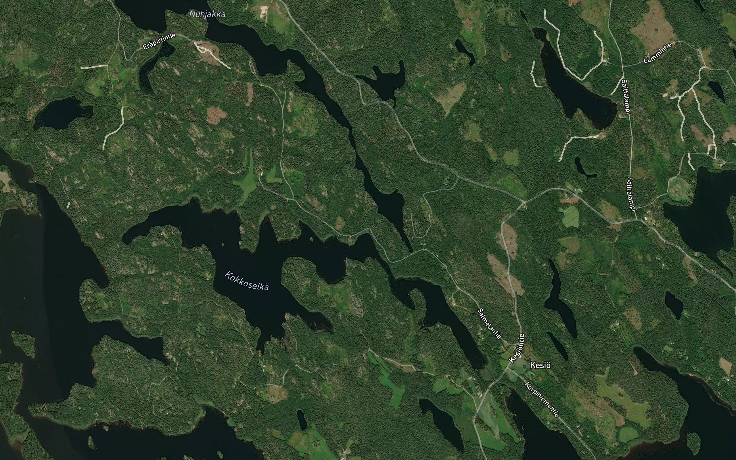 Haukkajoki