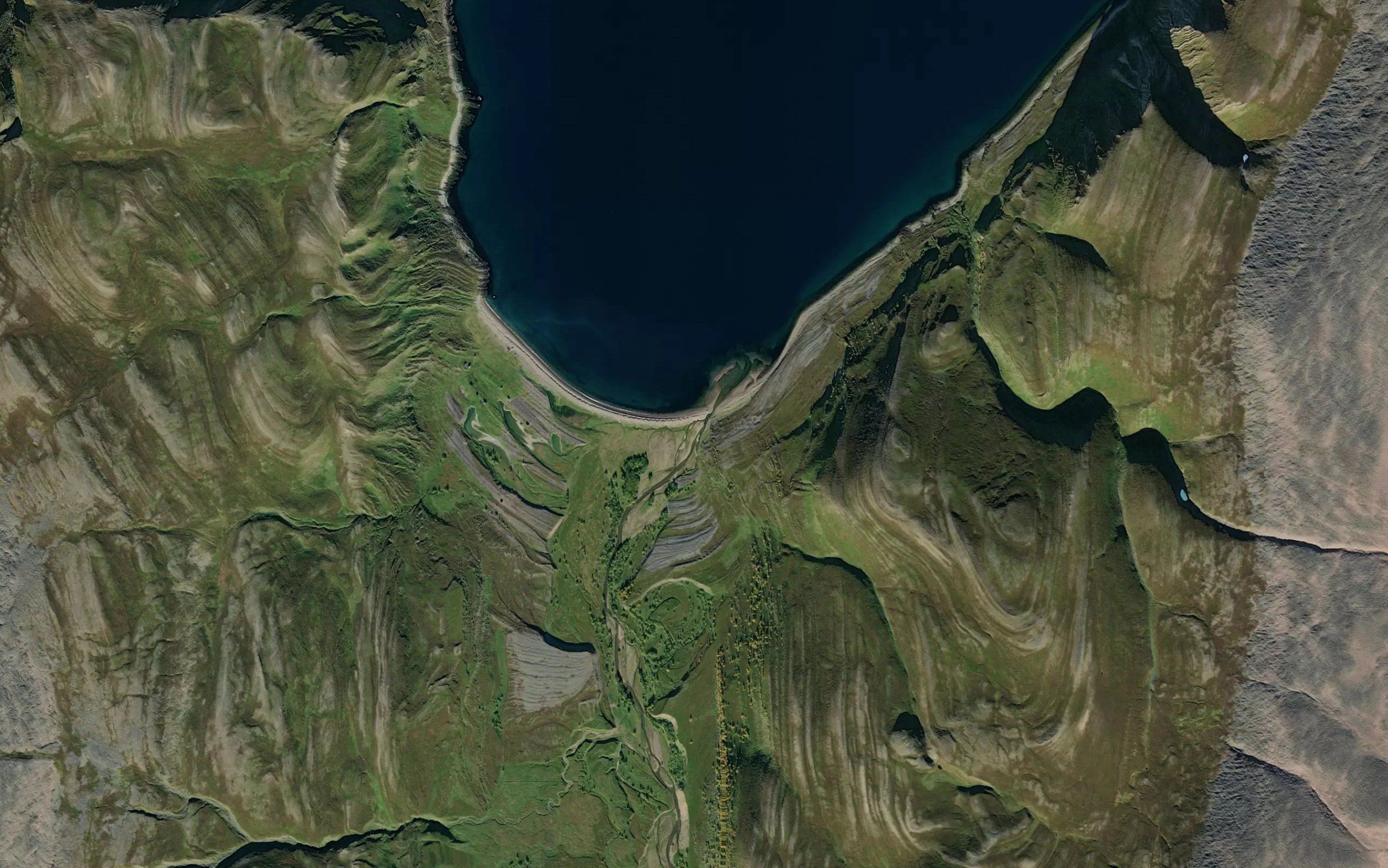 Austerelva