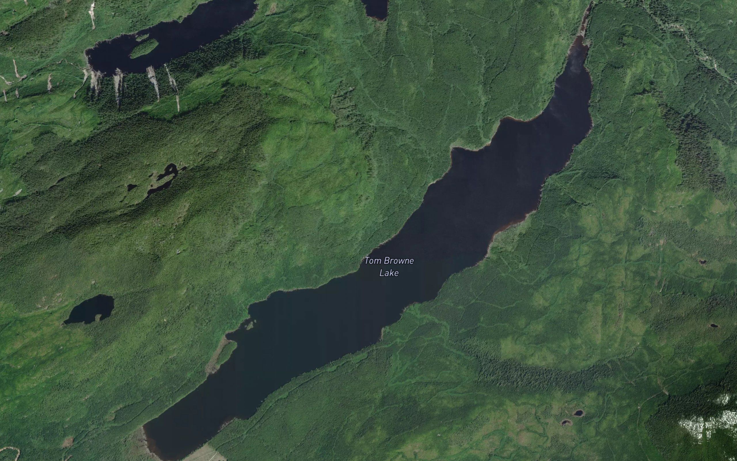 Tom Browne Lake