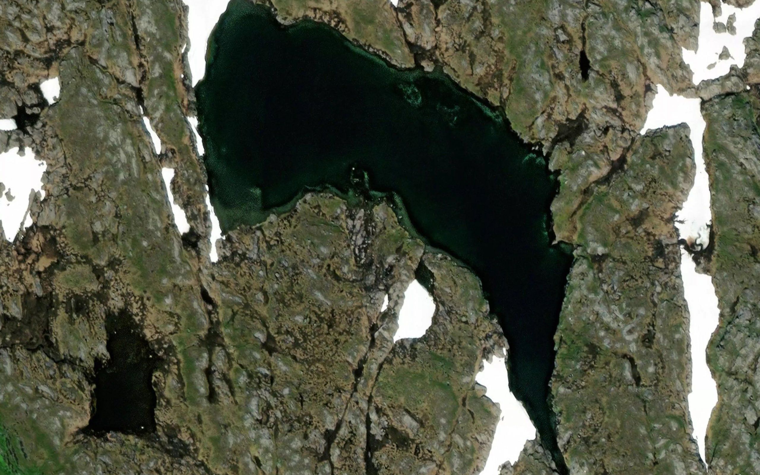 Midtifjelltjornin