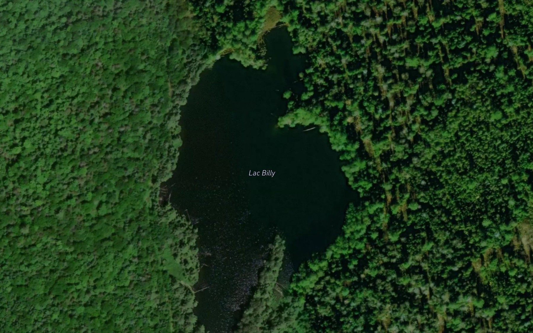Satellite map of the Lac Billy